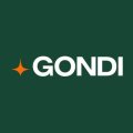 Криптовалюта Gondi