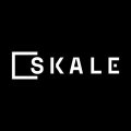 Криптовалюта SKALE Network