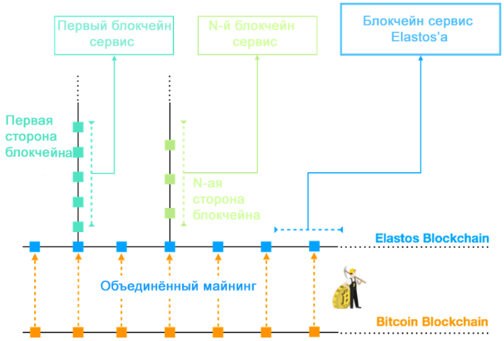Elastos Elastos